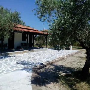 https://pappous-studios.hotelschalkidiki.net